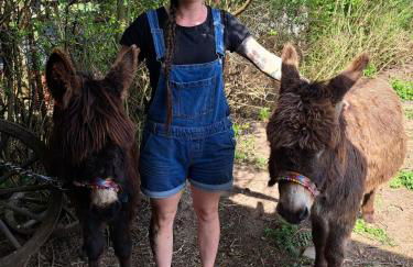 Wunderschöne 3-Zimmerwohnung auf dem Bauernhof - Foto 2