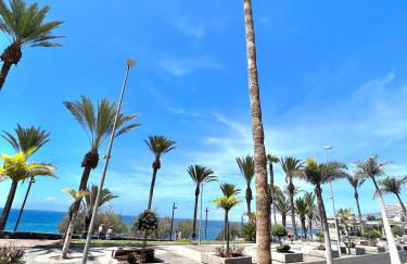 Silver & Brownie, Veracruz Sunset - Foto 21