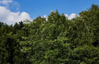 Agroturystyka Akacjowe Zacisze - Foto 75