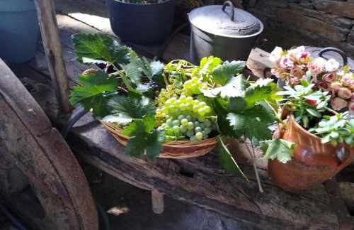 Ribera Sacra ( apartamento Rural ) - Foto 11