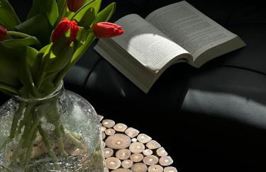 Casa Amodiño - Foto 29