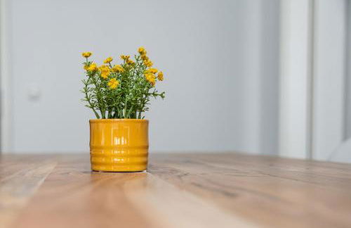 Apartments am Neuen Theater - Parkplatz nach Verfügbarkeit - Altstadt - Küche - Wifi - Powered by Ko-Living - Foto 46