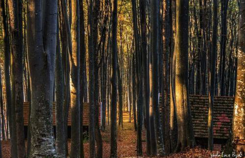 Ruralna kuća za odmor Kablarovo Brdo - Foto 47