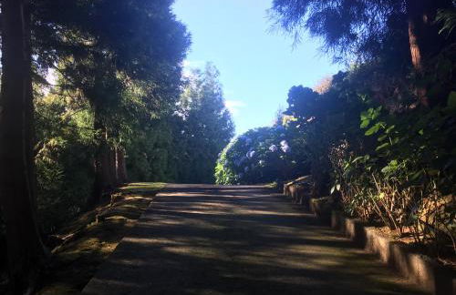 Quiet Place - Foto 13