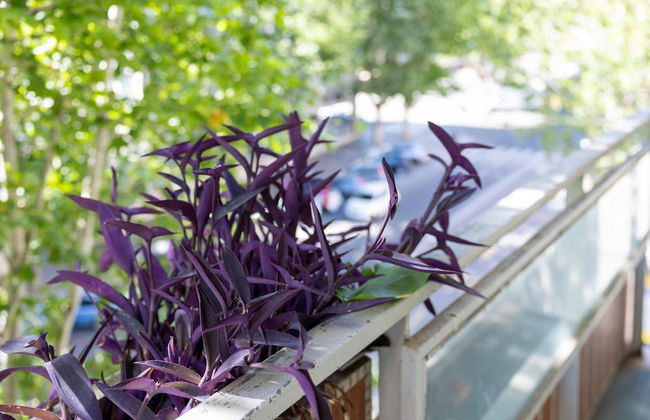 Beethoven Luxury Apartment - Foto 2