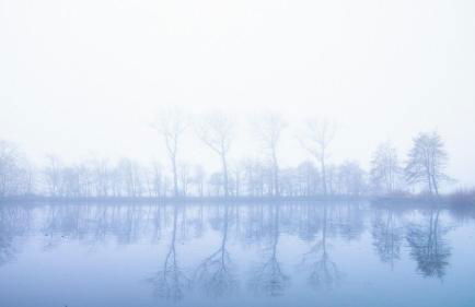 Schillhörn - Urlaub mit Wasserblick - Photo 29