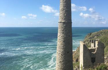 White Willows - Photo 19