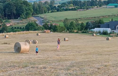 Domki Osada Bożków z jacuzzi - Foto 31