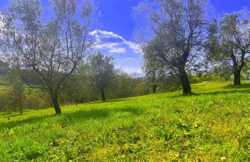 Casale la Civetta con piscina privata - Foto 23
