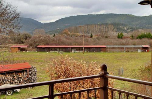 Ktima Karadimou - Photo 17