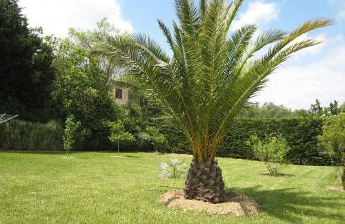 Villa in Provence with Pool and Garden - Foto 25
