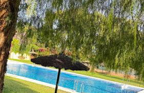 Vonitas vistas a Sevilla - Photo 35