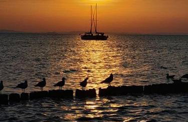 Apartamenty Pod Debem (Ferienwohnungen an der uralten Eiche) - Foto 37