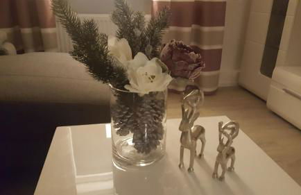 Ferienwohnungen Haus Zeier - Foto 25