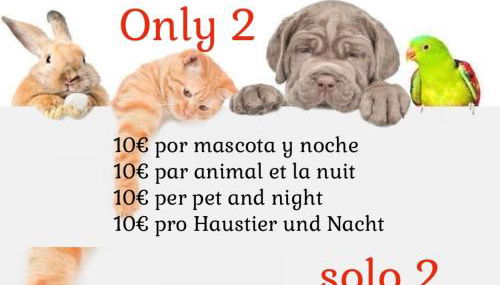 Apartamentos Giuliano - Photo 5