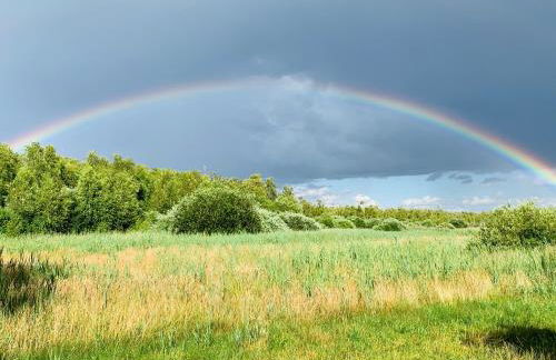 Ferienhaus am Seegrund - Foto 12
