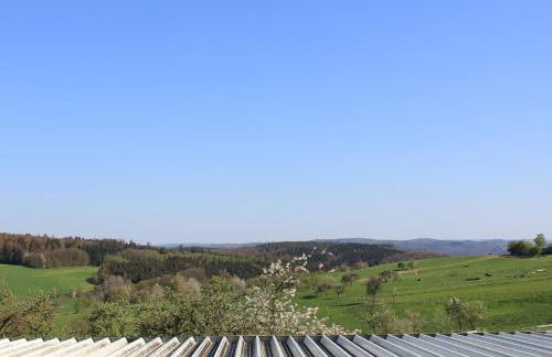 "Die Jockeysuite" auf unserem Reiterhof - Foto 10