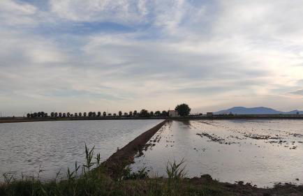 Lo Petit Delta - Foto 37