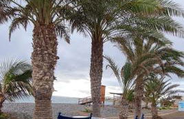 CA.MARCELA. 200 metros del mar. - Foto 33