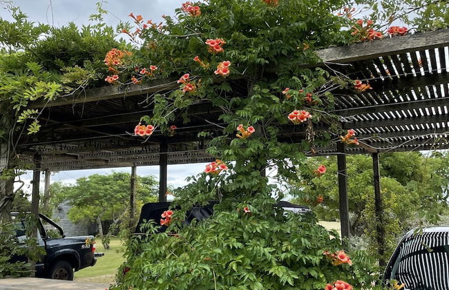 La Picarona - Foto 70