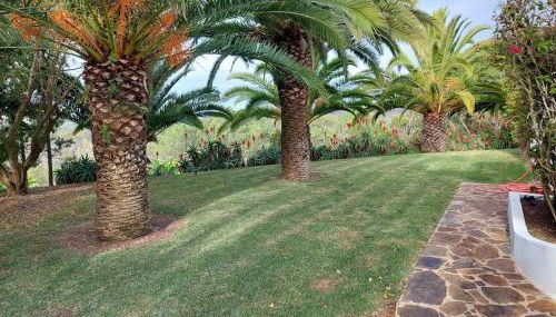 A House With a View - Foto 2, Garden