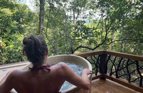 Log Cabin with Mountain View and Privacy - Foto 26