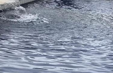 Casa do sossego - Foto 49