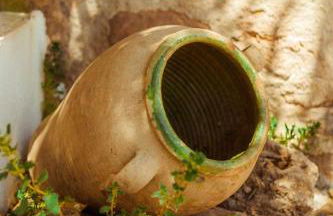 Finca el Vizconde - Naturaleza con tus hijos - Foto 44