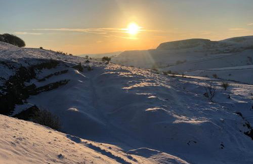 Woodland View - Photo 26