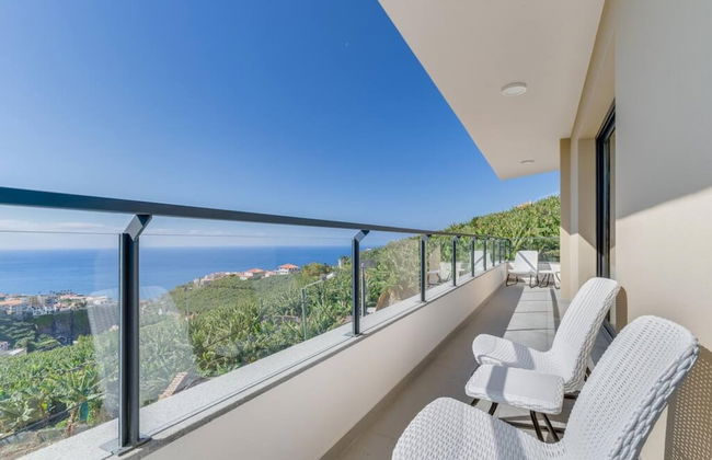 Banana Tree in C Mara de Lobos - Foto 2