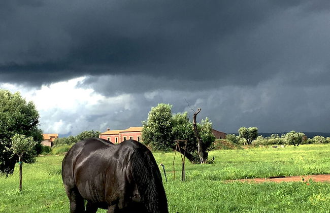 Resort Fonte Vulci - Foto 64