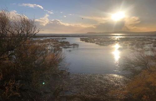 Marché des Capucins - Calme - Lumineux - Garage - Foto 37