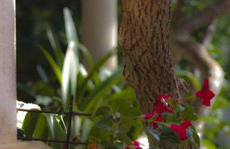 Green Park Apartments - Foto 96