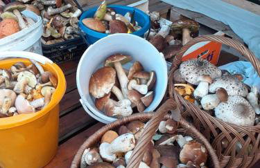 Domek nad jeziorem/Seehaus 2 (Sławno/Łętowo) - Foto 32