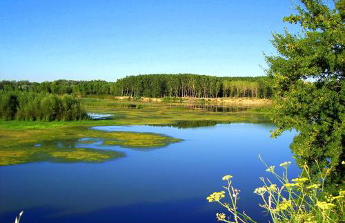 Apartamentos Ribera Navarra - Bardenas - Photo 34