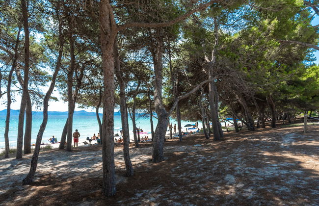 Lago y Mar - Foto 30