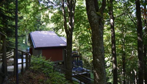 Villa Panoramica Indipendente - Foto 5