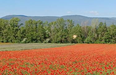 A 5 Minutes des Ocres Gïte La Charite Gordes Roussillon - Foto 32