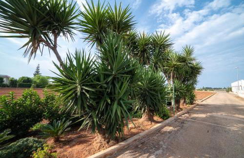 Dimora Onda Verde - Foto 40