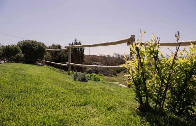 Cala Scoglietti - Foto 14