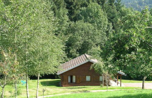 Ventron Chalet with Hill Views - Foto 40