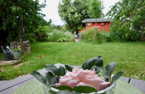 Bodenseenahe ruhige Ferienoase - Photo 27