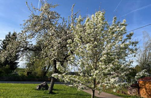 Kuh Heimat - Bergblick - Terrasse - Photo 57