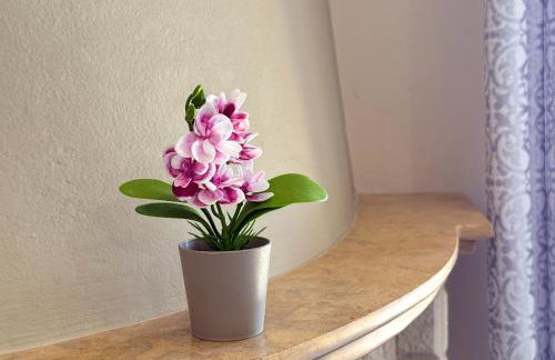 Villa Nikolas Limni - Photo 23