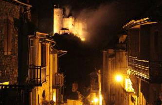 La Futaie - Photo 14