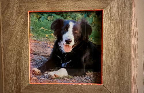 Gite LES SOURCES, 9 pers, 11 couchages - Arlempdes, classé un des plus beaux villages de France - Foto 13