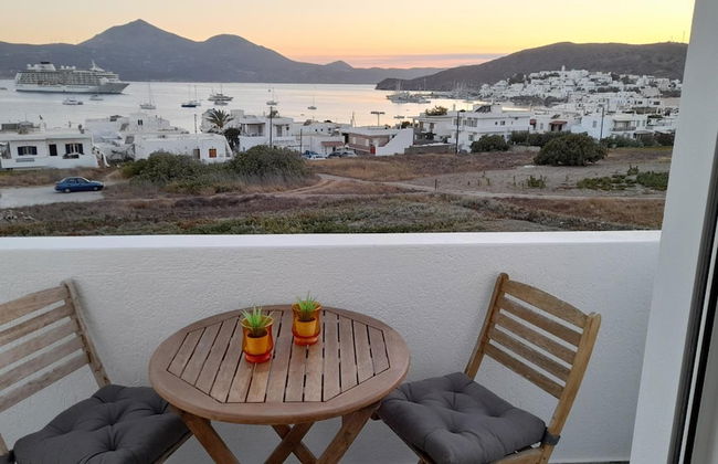 Ippocampos - Foto 56