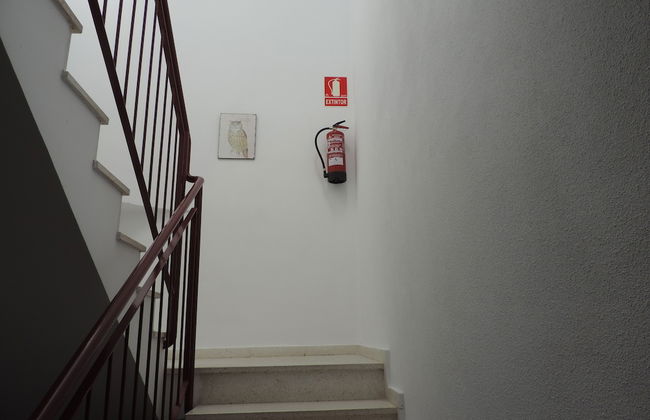 Apartamentos Barbancho - Foto 5