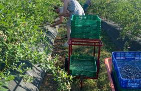 Quinta Vale Salgueiro - Foto 56