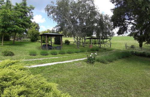 Agriturismo Cantinaccia di Sopra - Foto 44